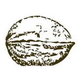 Justawalnut.medium