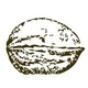 Justawalnut.small
