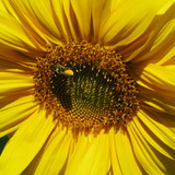 Img_4142.medium