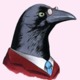 Raven-large.small