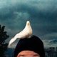 Fb_profile_picture.small
