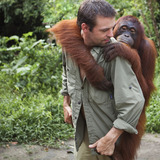 Jasonhouston_borneoorang-crop.medium