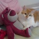 Raffles_and_lotso_profile.small