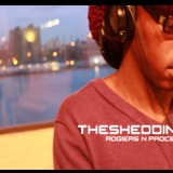 Thesheddingrogiers_n_process.medium
