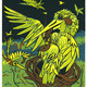 Halcyon%20web.small