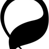 Damask%20swoosh.medium