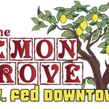 Lemongrovewaddress.medium