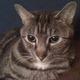 Iphone_pics_001.small