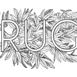 Rugbranch.medium