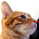 Fb_profile_picture.small
