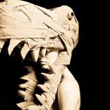 Gh2_20110917_2411.medium