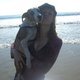 Fb_profile_picture.small