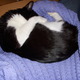 Dscn0056.small