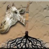 Sr-logo-giraffe-sq.medium