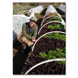 Gary_dec_lettuce.medium