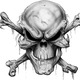 Skull-clean.small