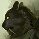 Kage_tempest_avatar.small