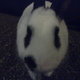 16062010142.small