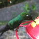 Img_1047.small