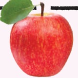 Appleimagecropped.medium