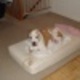 Fb_profile_picture.small