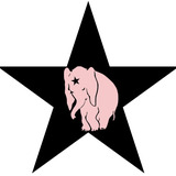 Elephant-star-pink.medium