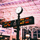 F1040019.small