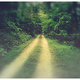 Woodroad.small