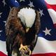 Eagle%20flag.small