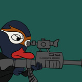 Ducksnipe.medium