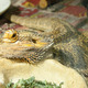 Dsc_7061.small