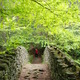 Dsc_0007.small