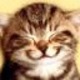 Smileycat.small