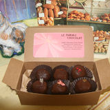 Main%20truffle%20picture.medium
