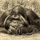 Rlb_5224.small