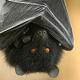 Batavatar.small
