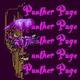 Pantherpagesml.small