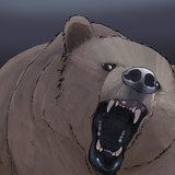 Bear.medium
