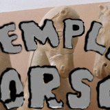 Templehorsesbusinesscard.medium