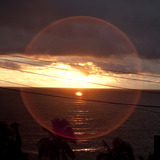 Tmp_logo_photo.medium