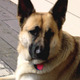 B0000167.small