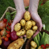Hands%20with%20potatoes.medium