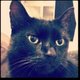 Fb_profile_picture.small