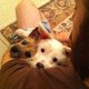 Fb_profile_picture.small