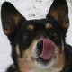 2013-02-19_111921.small