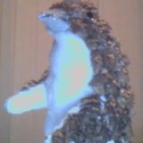 Pineguin.medium