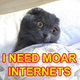 Moarinternets.small