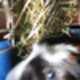 Avatar2146_9.small