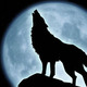 Lunarwolf%20steam%20id.small