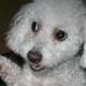 Fb_profile_picture.small